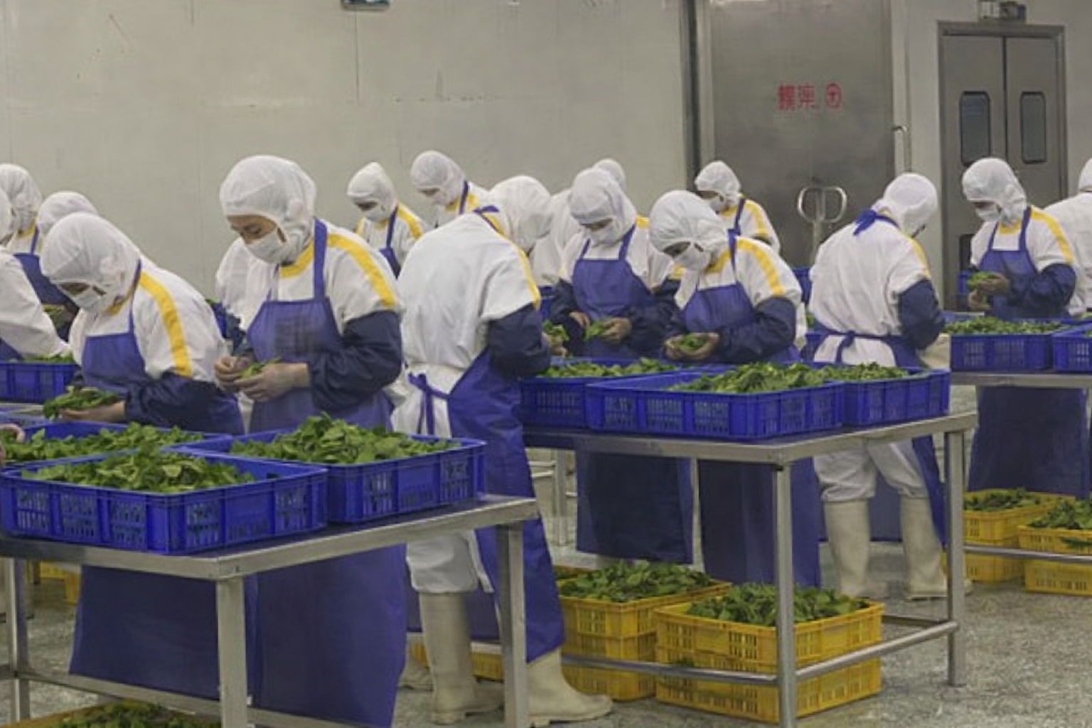 Japan Processing Facility 1